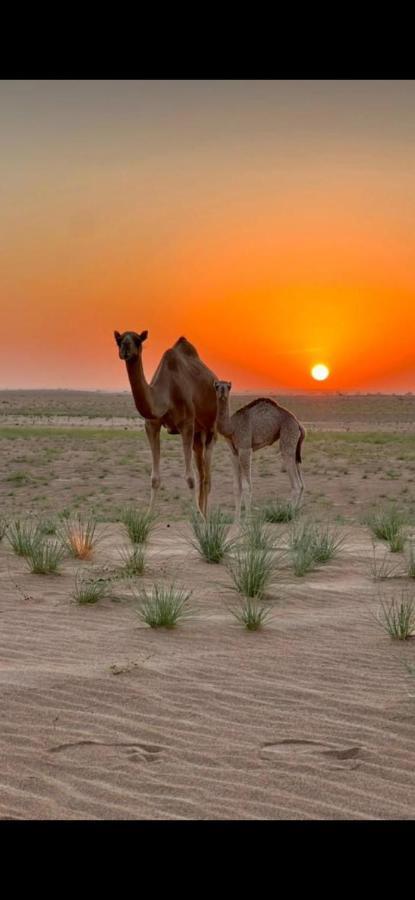 Гостевой дом Panorama Camp Bidiya Al Wasil Экстерьер фото